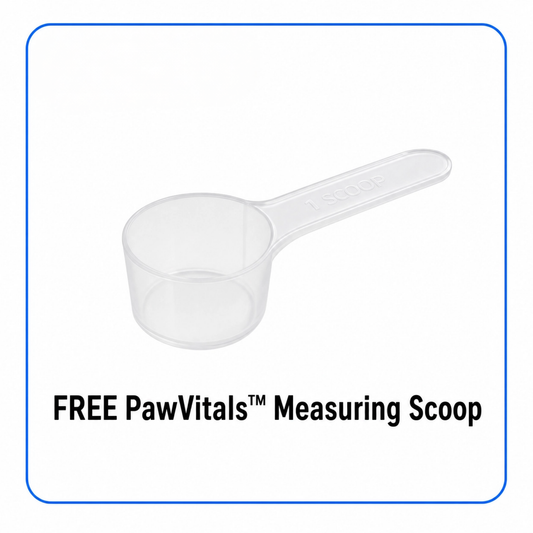 Measuring Scoop